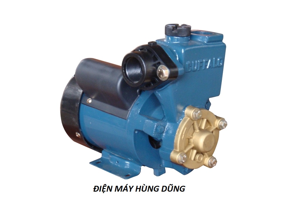 Bơm nước chân không Shinil WP-125BE (125w) Bơm nước chân không Shinil WP-125BE (125w)