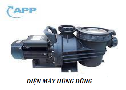 Bơm tuần hoàn bể bơi SWP-30 (2.2Kw) Bơm tuần hoàn bể bơi SWP-30 (2.2Kw)